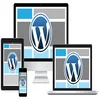 Wordpress web designer, wordpress designer