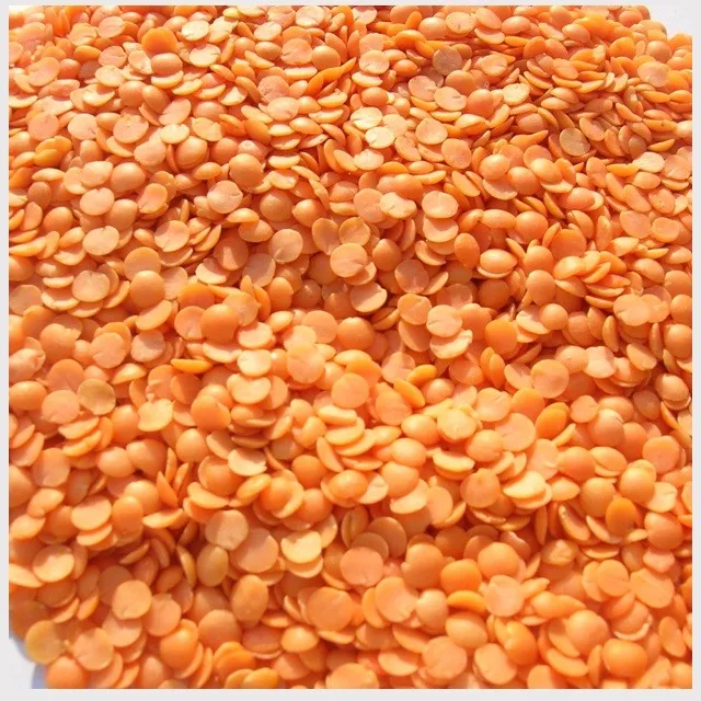 red split lentil double oil polished , sortex