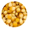 yellow corn