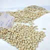 25 Kg. Vacuum Packing Blanch Peanut