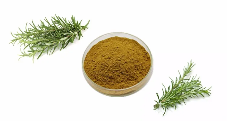 organic rosemary leaf extract powder hplc rosemay acid
