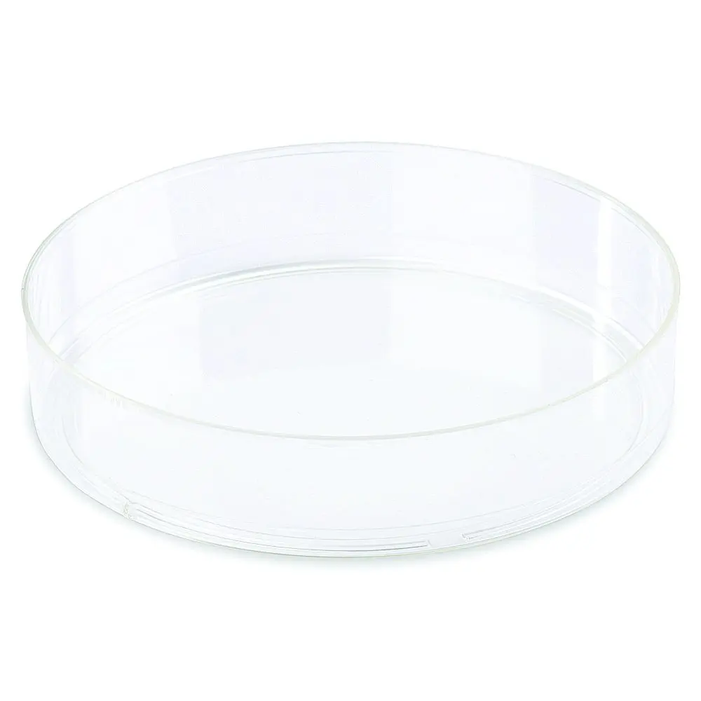 Nest Scientific 801001 Polystyrene//Glass Bottom Cell Culture Dish Sterile 20 mm Diameter 10 per Pack Tissue Culture Treated Pack of 200 200 per Case