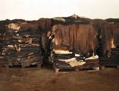 dry-donkey-hide.jpg