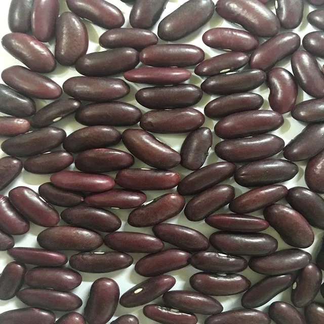 New Black Beans ( Fresh Green Inside ) From Vietnam Buy Vietnam,Black