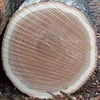 Best price Construction logs - Eucalyptus Round Logs