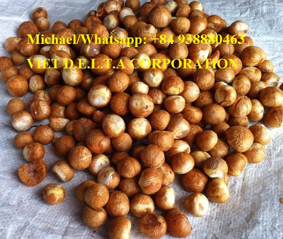 betel nut palm-source quality betel nut palm from global betel