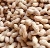 Peanuts