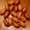 Available in Stock and Samples of Bitter Kola Nuts in Large quantities At Competitive Rate