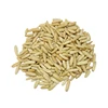 Raw Pine Nuts Whole Kernels with Best Quality for Export