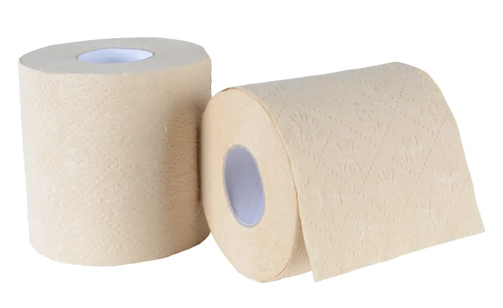 toilet paper 3000_