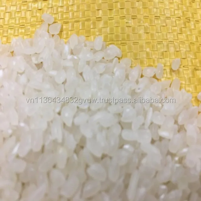 JAPONICA 2% BROKEN 35.jpg