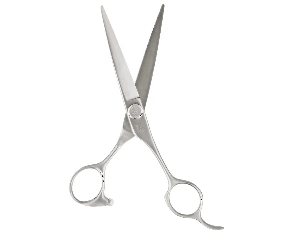 Professional Hair Cutting Thinning Scissors Barber Shears