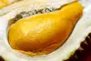 Malaysia musang king 48 hours from tree fresh durian