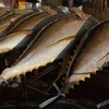 Wild-Caught Yellowfin Tuna /Whole/Fillets/Frozen. #1 Sushi Grade