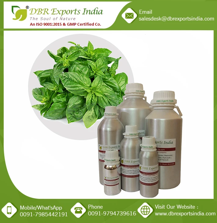 Basil Oil in Bulk Manufacturer of Alibaba