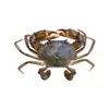 Quality Soft Shell Crab/Live Mud Crab/Frozen Soft shell Crab Box
