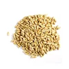 Barley for Malt /Malted Barley Animal feed barley from South Africa