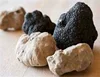 /product-detail/wholesale-dried-black-and-white-truffle-50040455198.html