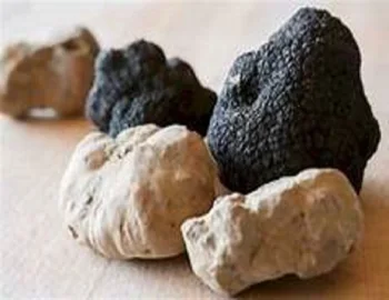 Wholesale Dried Black And White Truffle - Buy Dried White Truffle ...