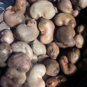 cashew nut shell price