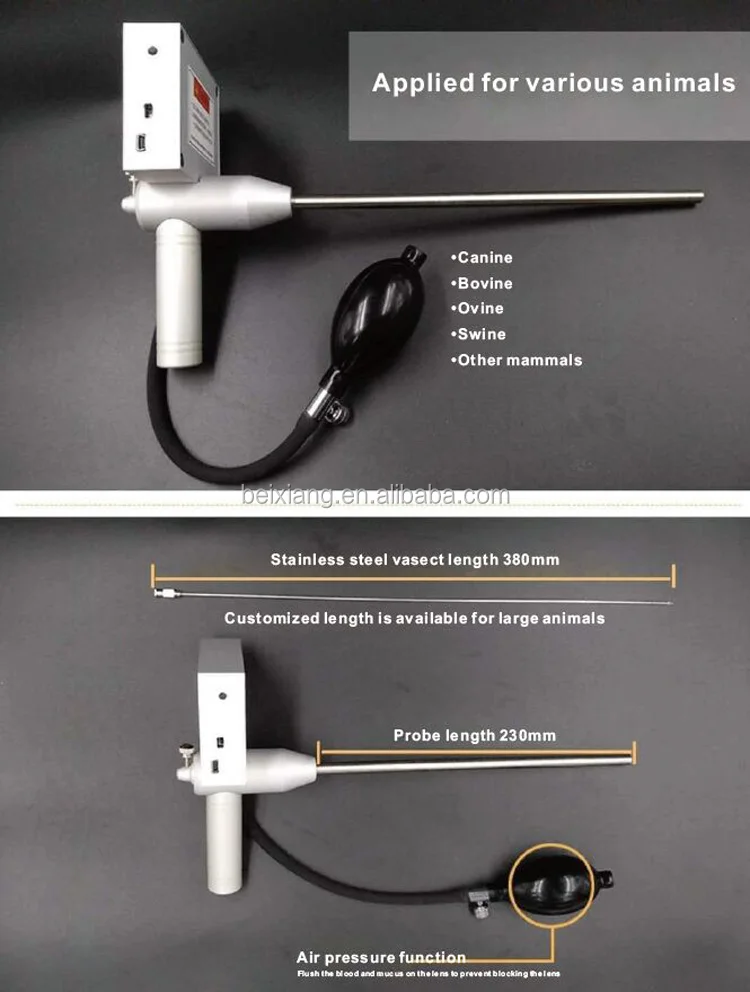 Waterproof Visible Insemination Tci Gun For Dog Buy Tci Gun Tci Insemination Gun Waterproof Insemination Gun Product On Alibaba Com