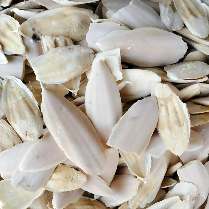 Vietnam Cuttlebone/ Dried Cuttlefish Bone Buy Price Cuttlefish