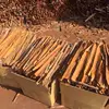 VIETNAM SPLIT CASSIA/CINNAMON WHOLE/CIGARETTES/BROKEN/POWDER (MR. TUYEN-WHATSAPP/VIBER/SKYPE/KAKAOTALK/WECHAT 0084916275888)