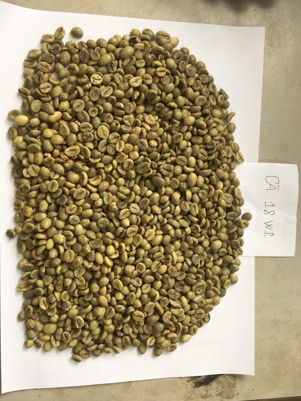 Vietnam Robusta/arabica Green Coffee Beans Buy Coffee,Beans,Robusta