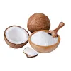 Hot Sale Desiccated Coconu High fat, Low Fat/Desiccated Coconut with Factory Price/Shredded Coconut/Dried Coconut