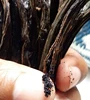 Highest Grade Wholesale Madagascar Bourbon/Gourmet Vanilla Beans with High Vanilin Content