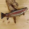 Rainbow Trout Whole - Fresh available in different sizes