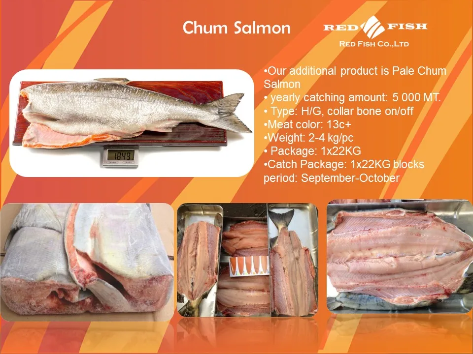 pink salmon 5 containers in stock availabe 2018 july sakhalin
