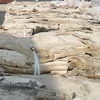 Wet Salted Donkey Hides
