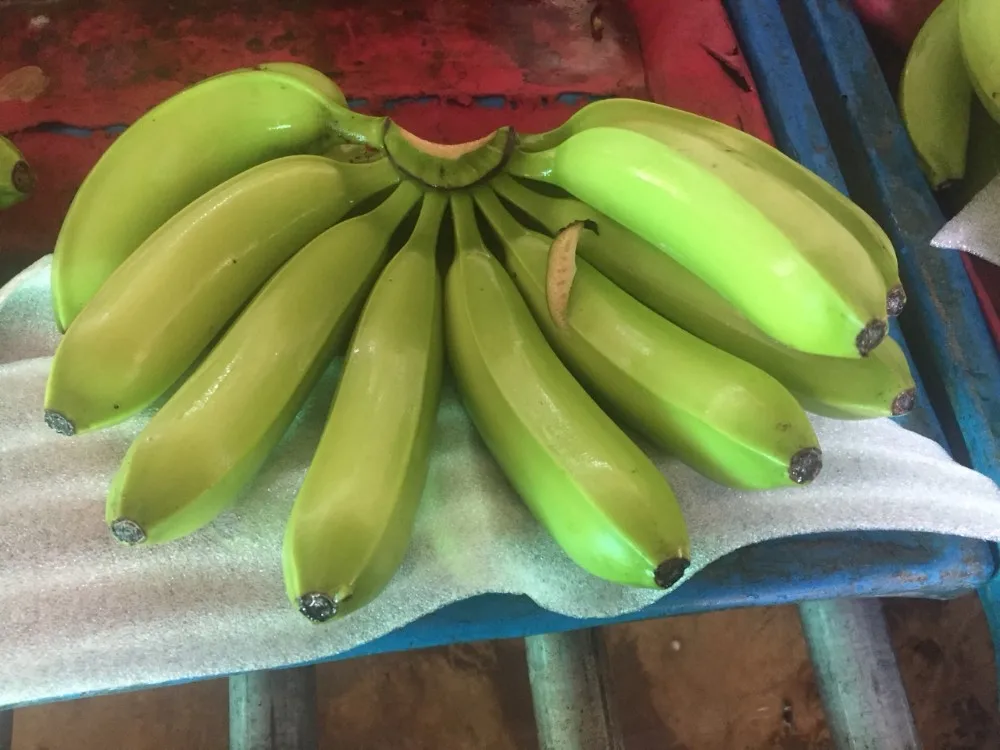 fresh cavendish banana for export whatsapp  84902948089