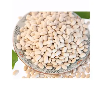 dried &fresh flageolet beans for sale.