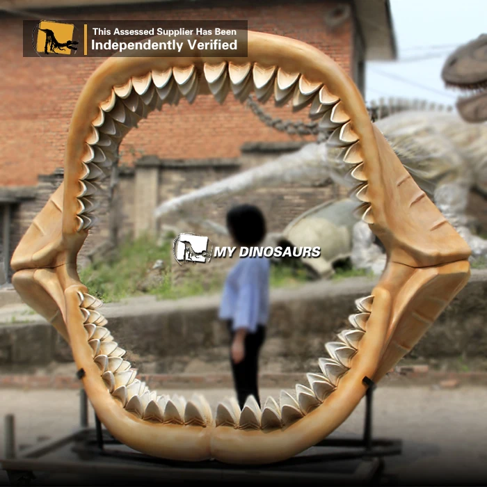 Megalodon Jaw 11.jpg