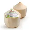 Fresh Semi Husked Coconut