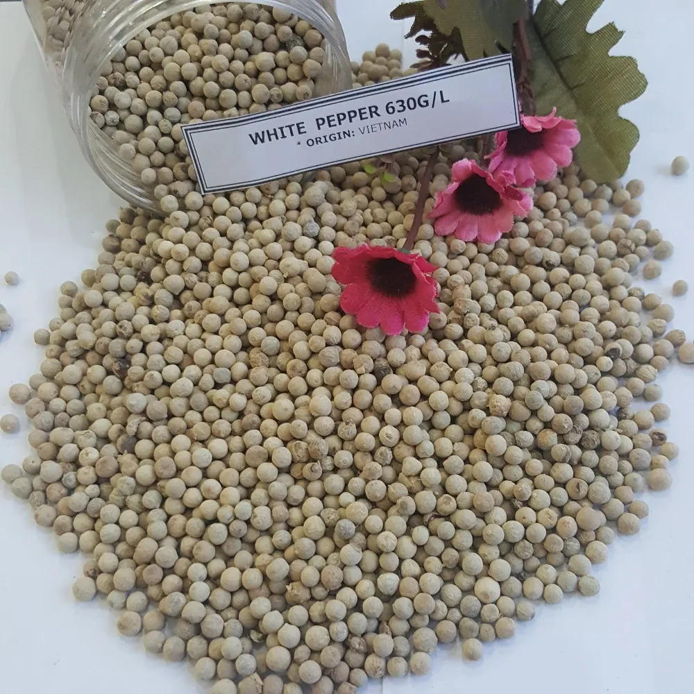 Vietnam Black Pepper 500g/l Faq/ Machine Cleaned/ Asta High Quality Low