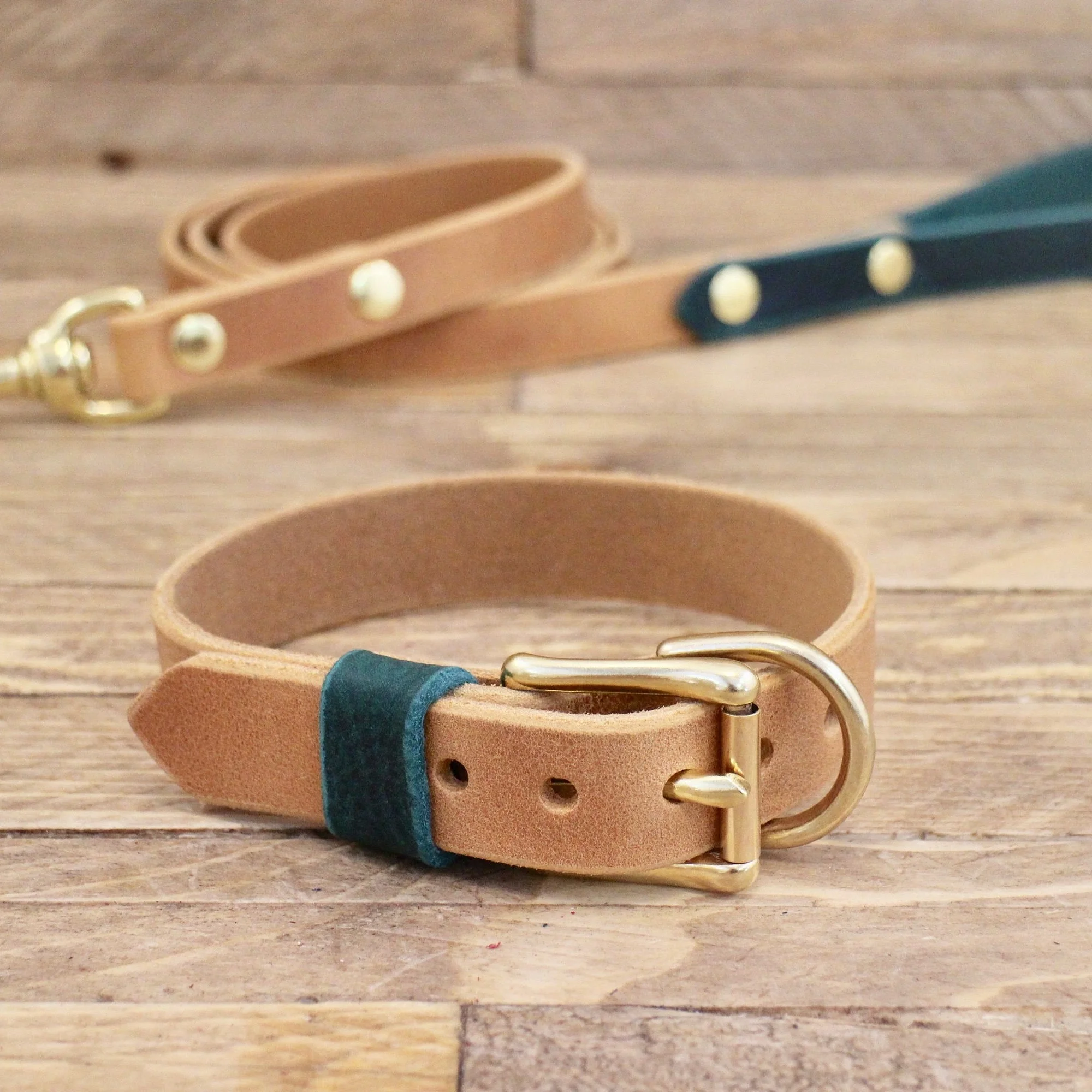 dog collars for dogs