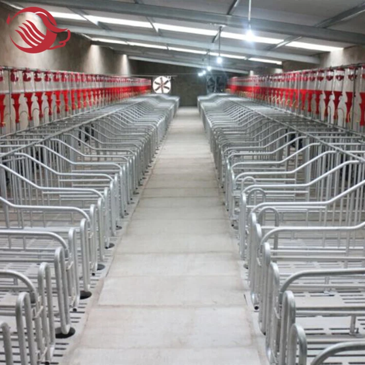 Pig Nursery Cage Weaning Crate,Piglet Nursery Crates Buy Pig Nursery