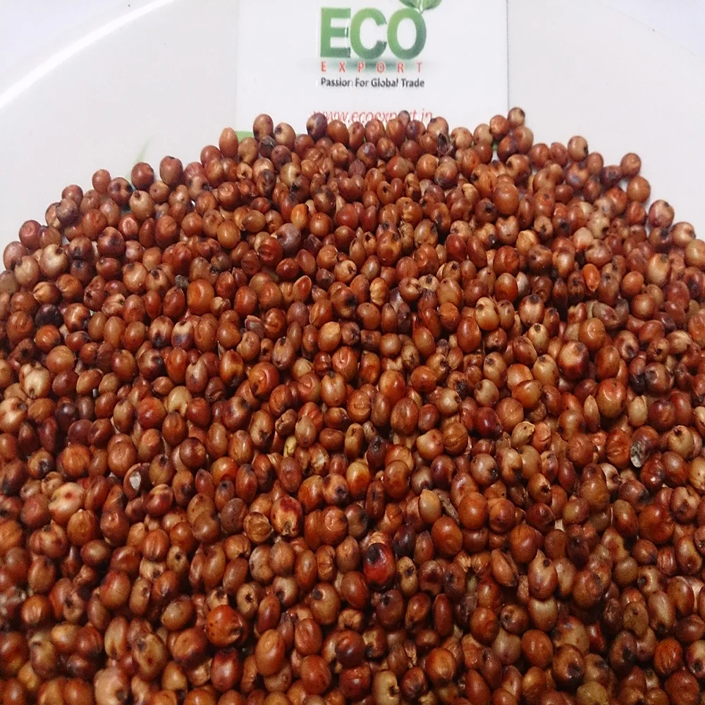 所有行业  农业 谷物 高粱 高粱种子被用作饲料植物或作为牧场的一