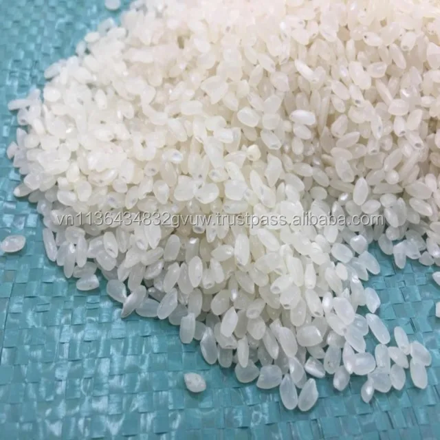 JAPONICA 2% BROKEN 88.jpg