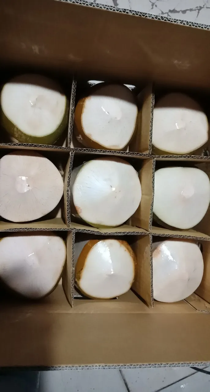 Whole Fresh Young Coconut Supplier / Diamond Cut Coconut Buy Whole