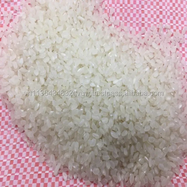 JAPONICA 2% BROKEN 76.jpg