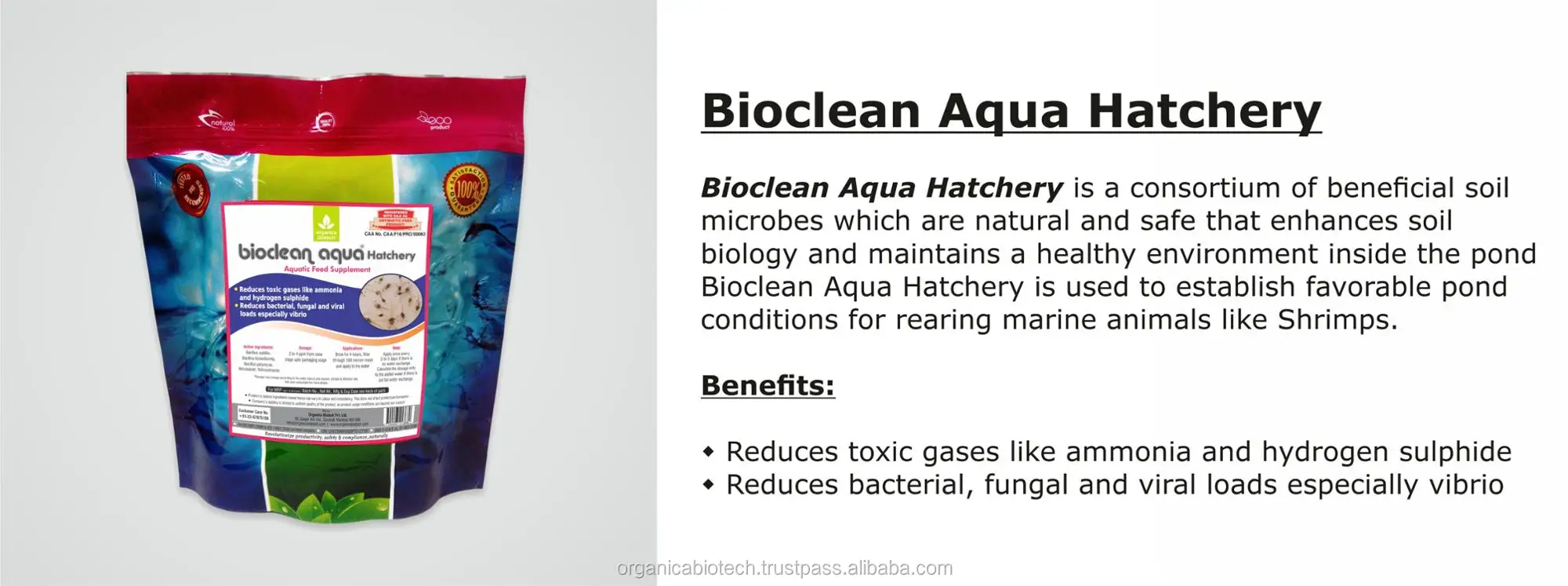 Chemical Free And Organic Tilapia Fish Feed Probiotics For Hatchery