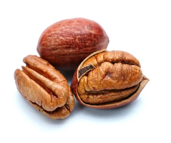 Certified Pecan Nuts / Pecan Nuts For Sale/ Pecan Nuts Best Price Buy