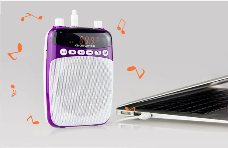S308 5W 2.4G Wireless Teachers Voice Amplifiers for Teachers.jpg