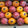 /product-detail/fresh-oranges-valencia-and-naval-oranges-egyptian-citrus-62002078982.html
