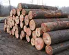 Wood Logs /Birch / Oak / Ash / Alder / Poplar / Pine / Spruce Firewood