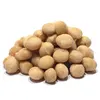 High Quality Macadamia Nuts From Vietnam